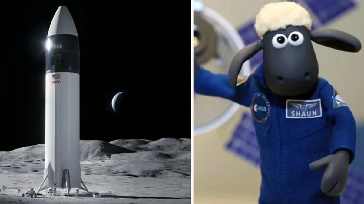 NASA'dan ilginç deney! Artemis 1'in test uçuşu için Ay'a oyuncak koyun gönderiyorlar
