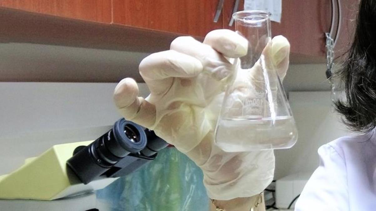 Tokat'ta bulunan kaplıca sularının, kanserli hücreleri öldürdüğü tespit edildi