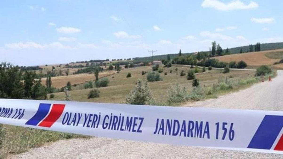 Tunceli'de bir köy, kuduz vakası nedeniyle karantinaya alındı